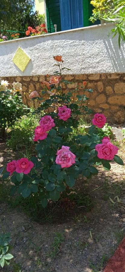 Lemon Garden Διαμέρισμα Ανω Βασιλικος Εξωτερικό φωτογραφία