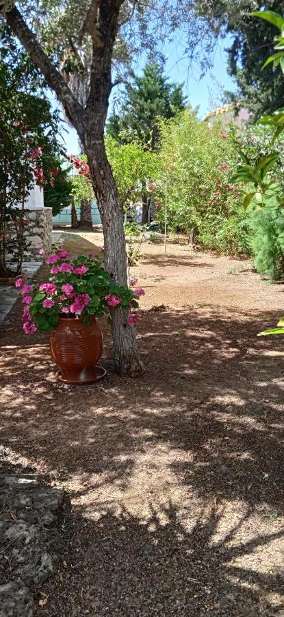 Lemon Garden Διαμέρισμα Ανω Βασιλικος Εξωτερικό φωτογραφία